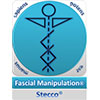 Fascijalna manipulacija<br />Stecco metoda